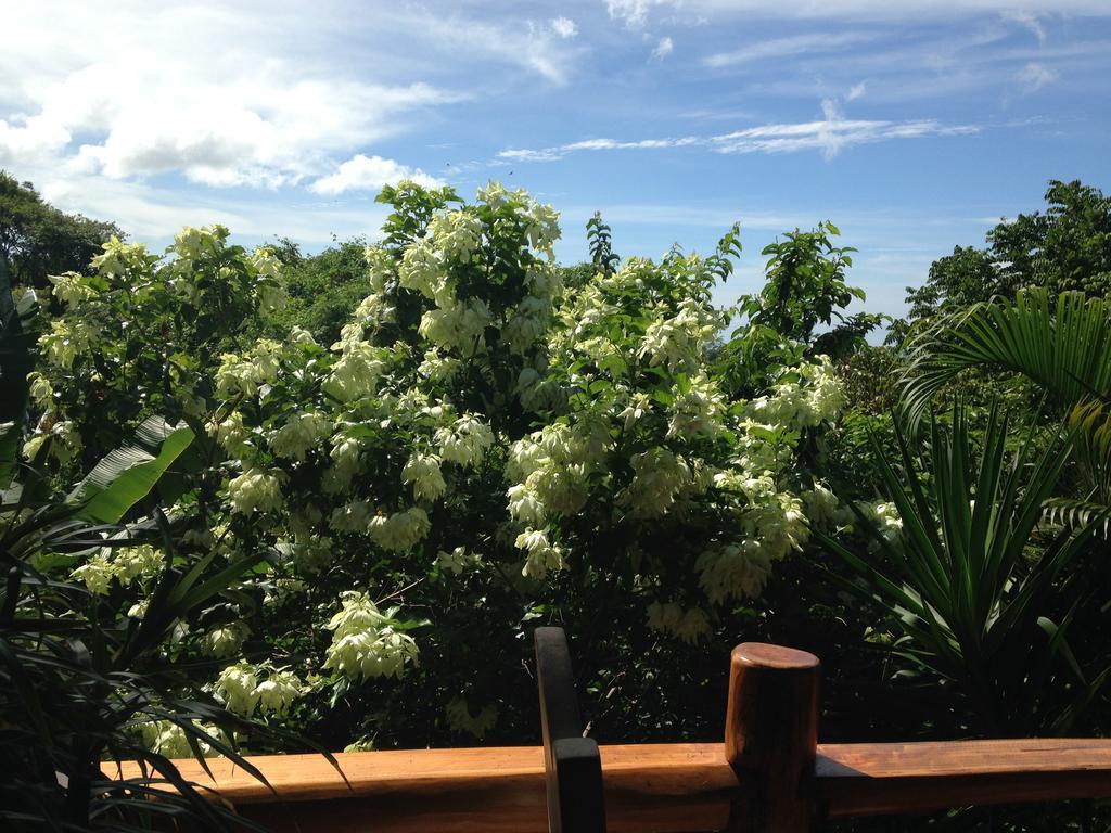 Villa Mango B&B Nosara ภายนอก รูปภาพ