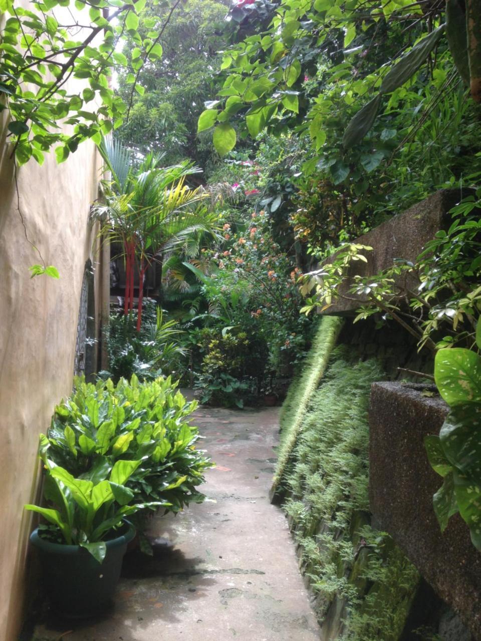 Villa Mango B&B Nosara ภายนอก รูปภาพ